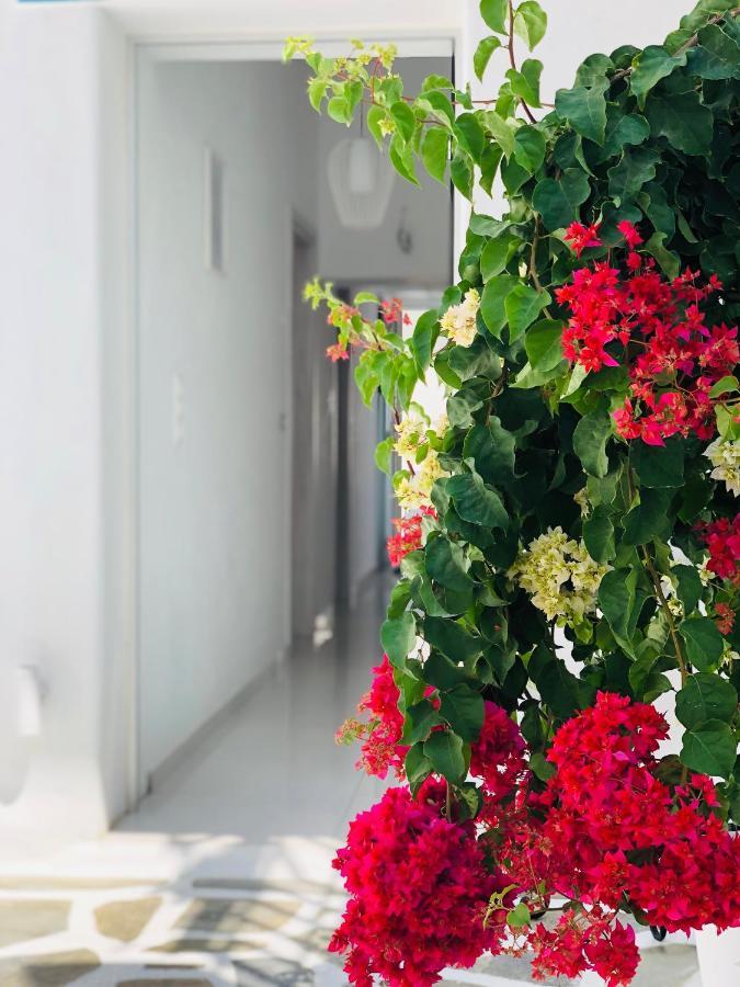 Taki'S Guests Bed & Breakfast Naxos City Exterior foto